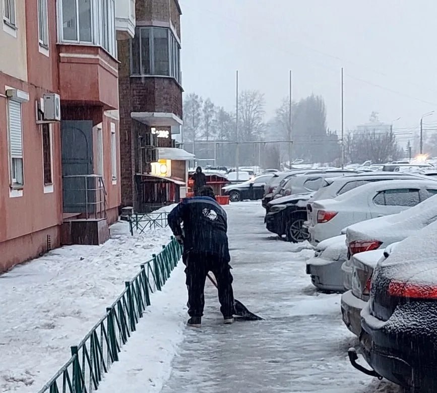 Администрация Центрального округа проверяет содержание территорий в период непогоды Администрация Центрального округа проверяет содержание территорий в период непогоды