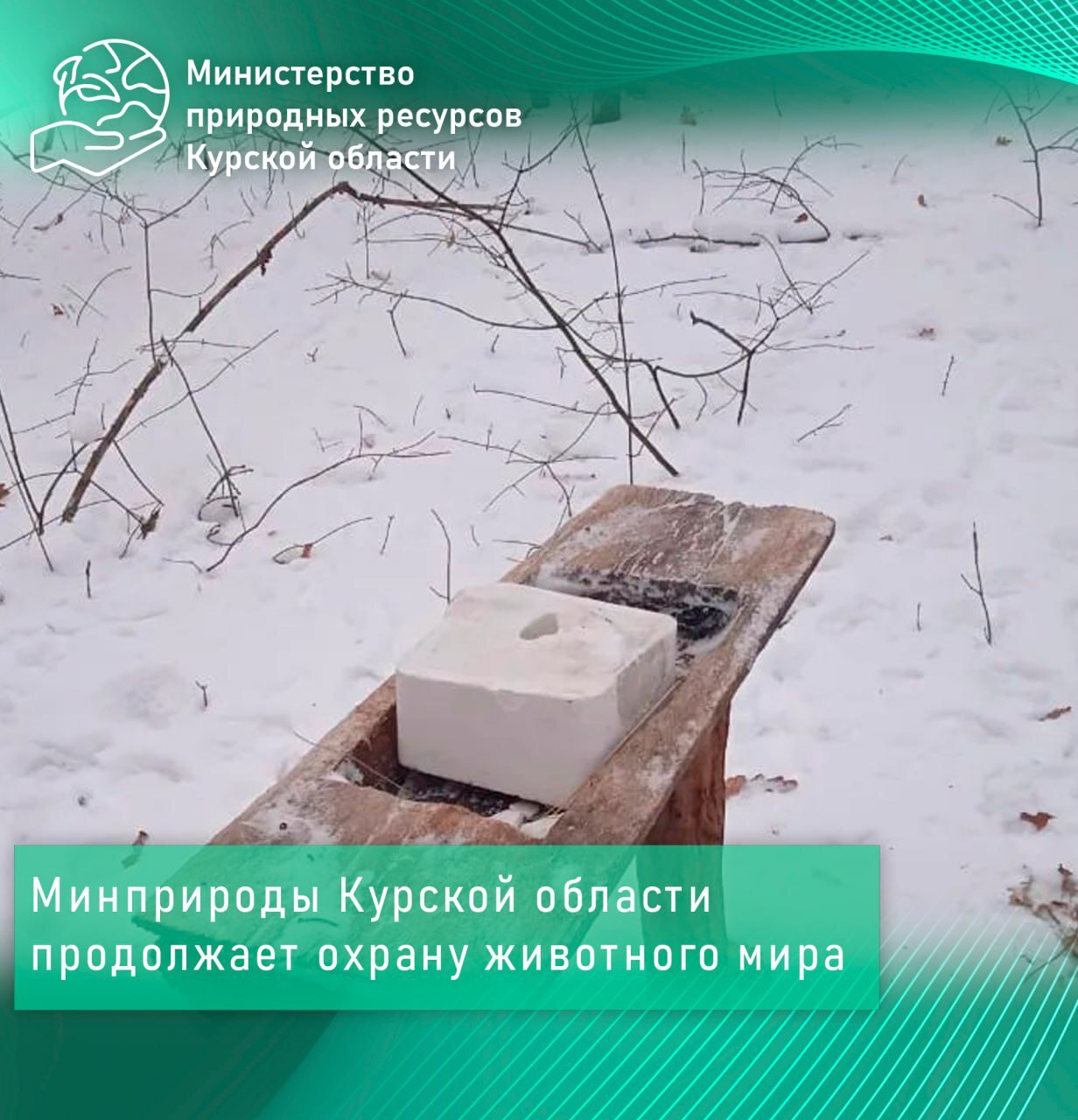 Минприроды Курской области продолжает охрану животного мира