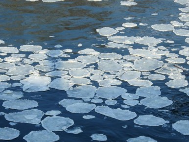 ����������� �� ������� ������� ��������� ���������� ������ ����� ������� �� ����� �������� ����� ������� ������