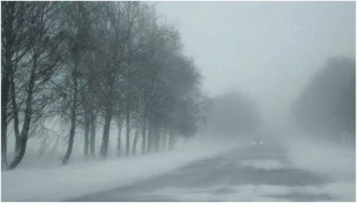 Доброе утро!. Сегодня, в четверг 29 января, по прогнозу регионального отделения МЧС, в Курской области облачно