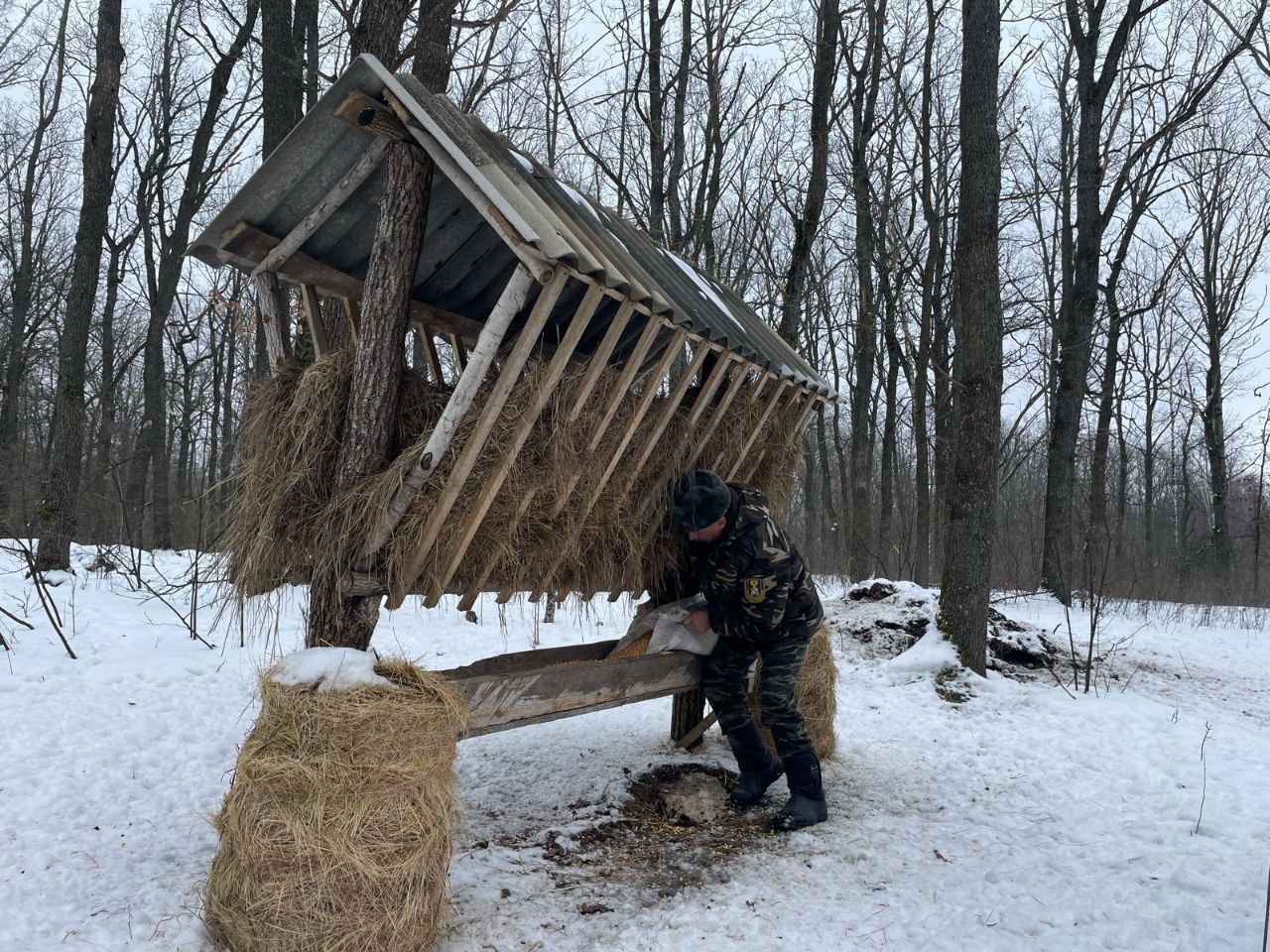 В ближайшие дни в Курской области ожидаются аномальные холода В ближайшие дни в Курской области ожидаются аномальные холода