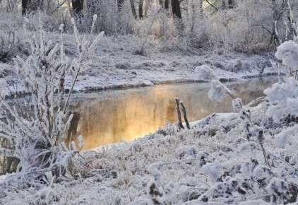 ����� ������ ��������� �� �������� � ������� �������