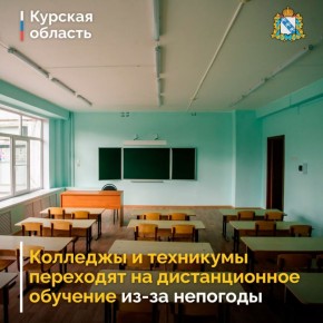 Вместе с детсадами и школами Курска на дистант уйдут техникумы и колледжи
