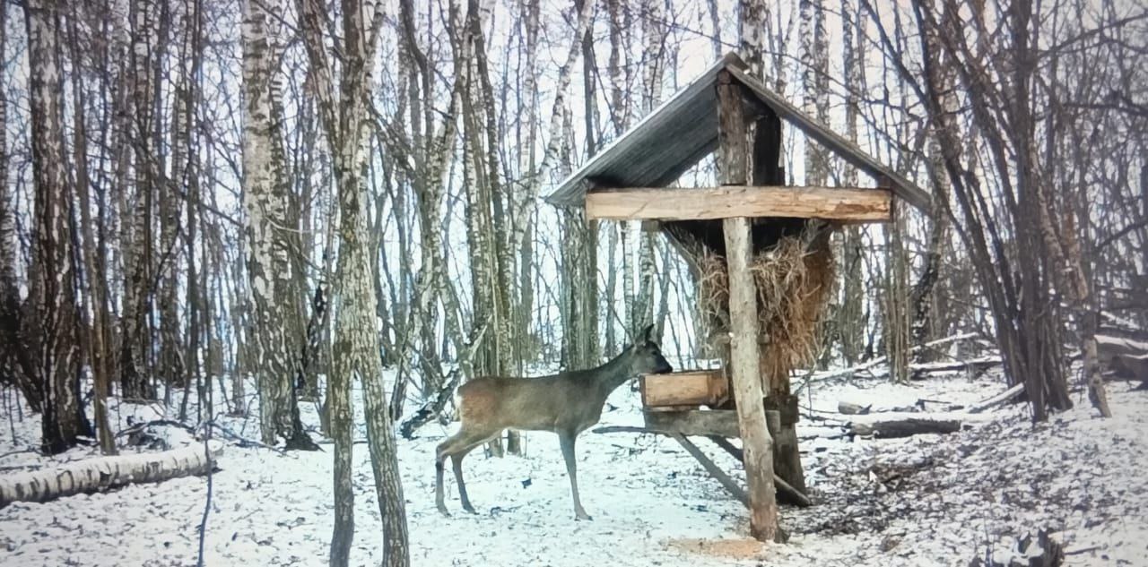 В ближайшие дни в Курской области ожидаются аномальные холода
