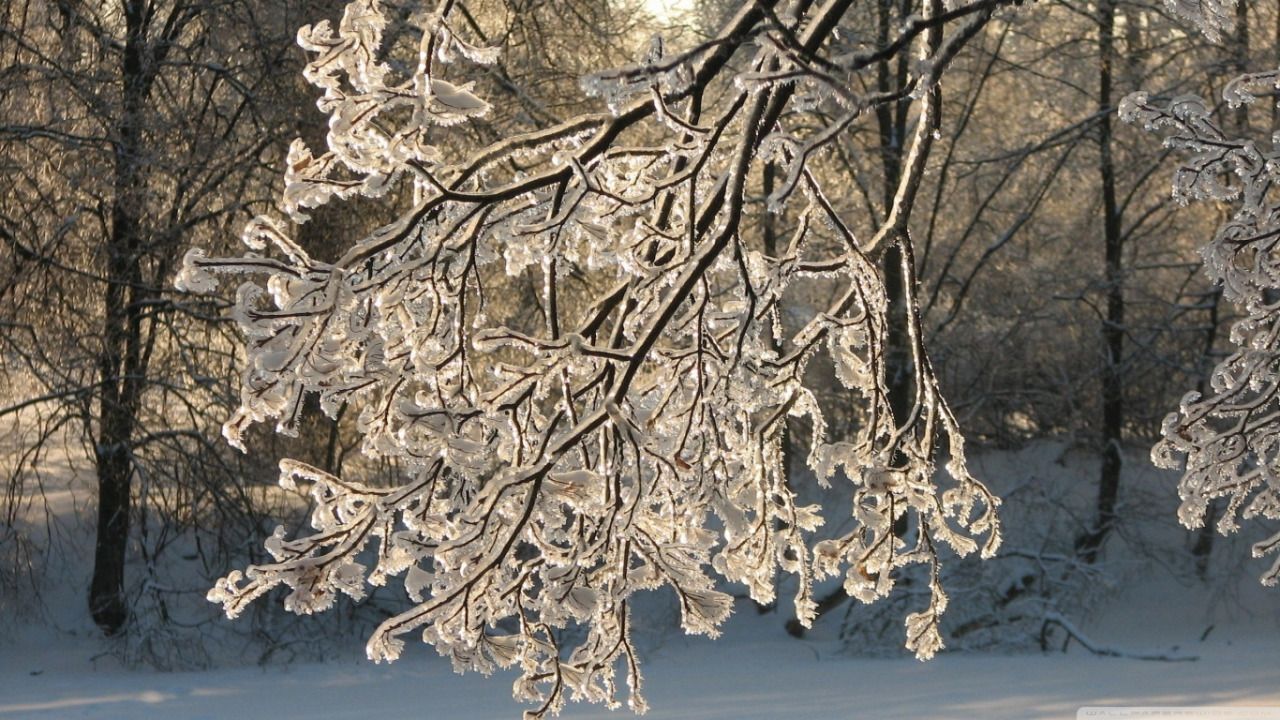 Доброе утро!. Сегодня, в пятницу, 30 января, по прогнозу регионального отделения МЧС, в Курской области облачно