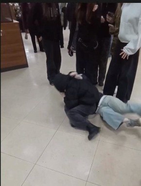 В Железногорске полиция разобралась в драке 13-летних школьниц в торговом центре