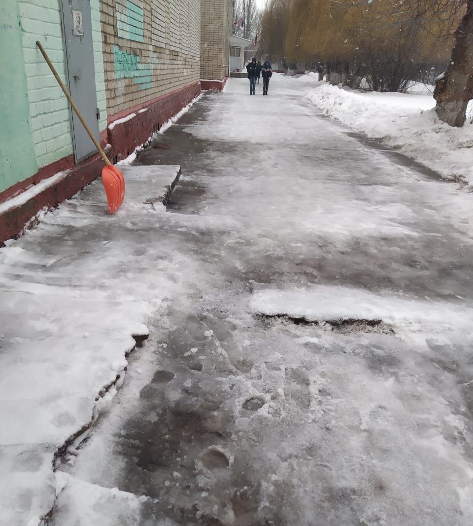 Спортивные школы "Медведь", №1 и №6 не остались в стороне и принимают участие в уборке снежных завалов Спортивные школы "Медведь", №1 и №6 не остались в стороне и принимают участие в уборке снежных завалов