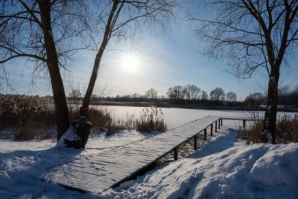Зима в деревне Хвостово Курского района на фото Юлии Золотушниковой