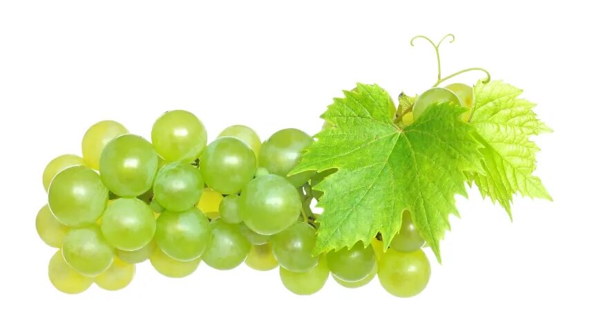 Виноградные листья: секреты здоровья и кулинарии