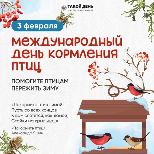 Наши маленькие герои из детского сада "Солнышко" не дают птицам замерзнуть даже в самые лютые морозы!