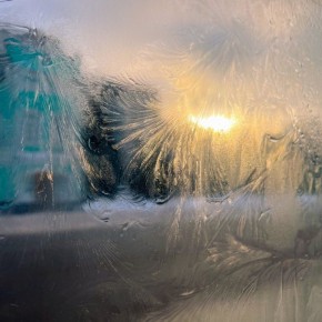 ��������� ��������� ���� ���� ������� ������� �������