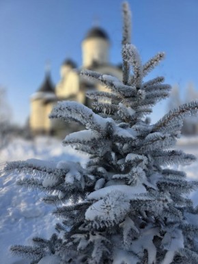 ������ ����!. ����������� ������� ����� �������� -22 �������