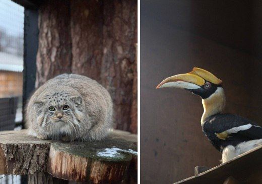 #* �������� ���������� �������� �� �������� � ����� ����