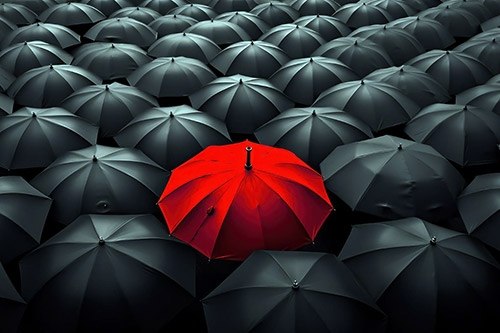 Курян предостерегают от финансовой пирамиды Deep Cashback