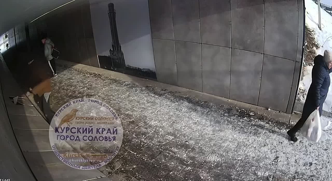 Мужчина голыми руками разбил плитку в подземном переходе в Курске