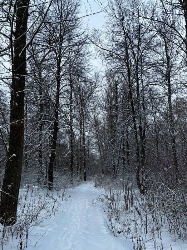 � ������� ������� ������������ ����� �� ������ �������� ��������� ����