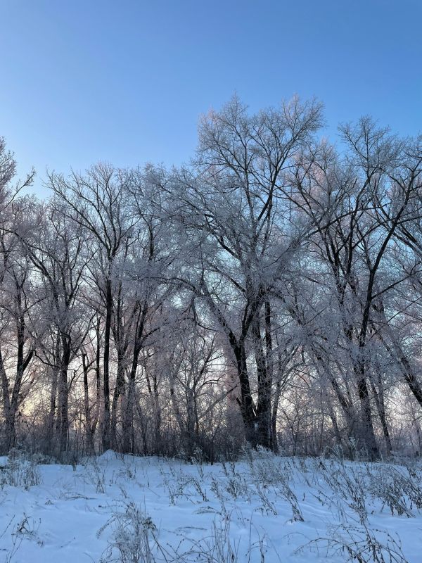 ������ ����!. ���������� � ����������� ��������� ������ � ��� �������! ������������ ��������, ���� �����, �������� ����� ��������