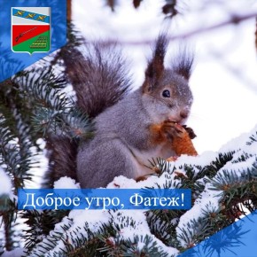 ������ ����. ��������� �������, ������� ��� ���� ��������