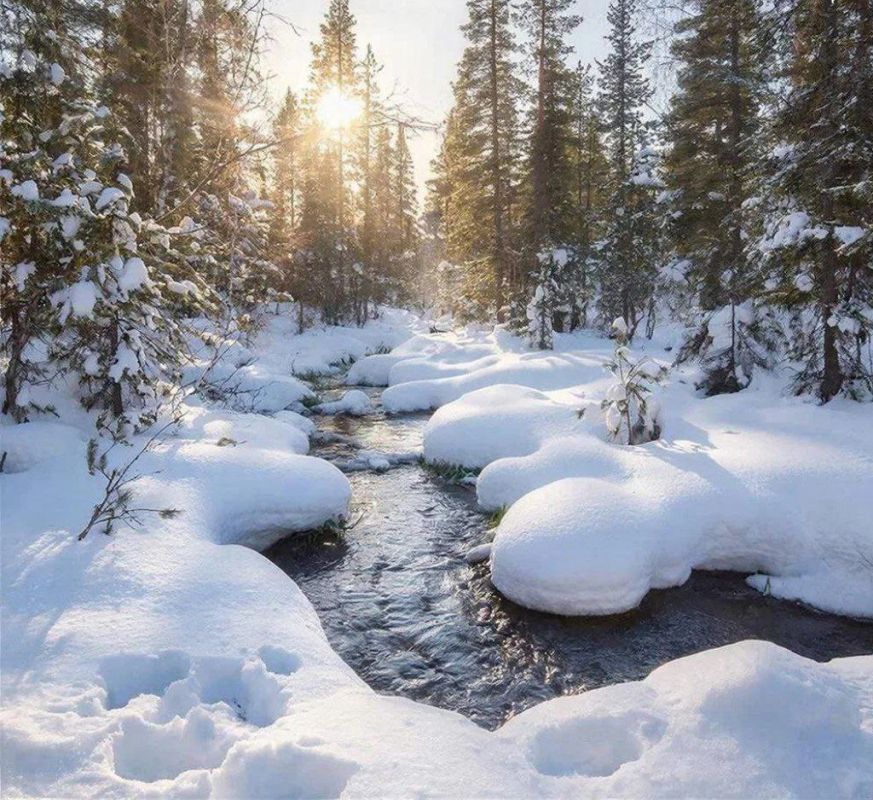 �������� ������� �� ��������� ����, ������� ������, ����� ����� �����