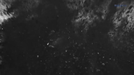 � ���� ������������ ������ ����������� ���������-���������� ������ ����