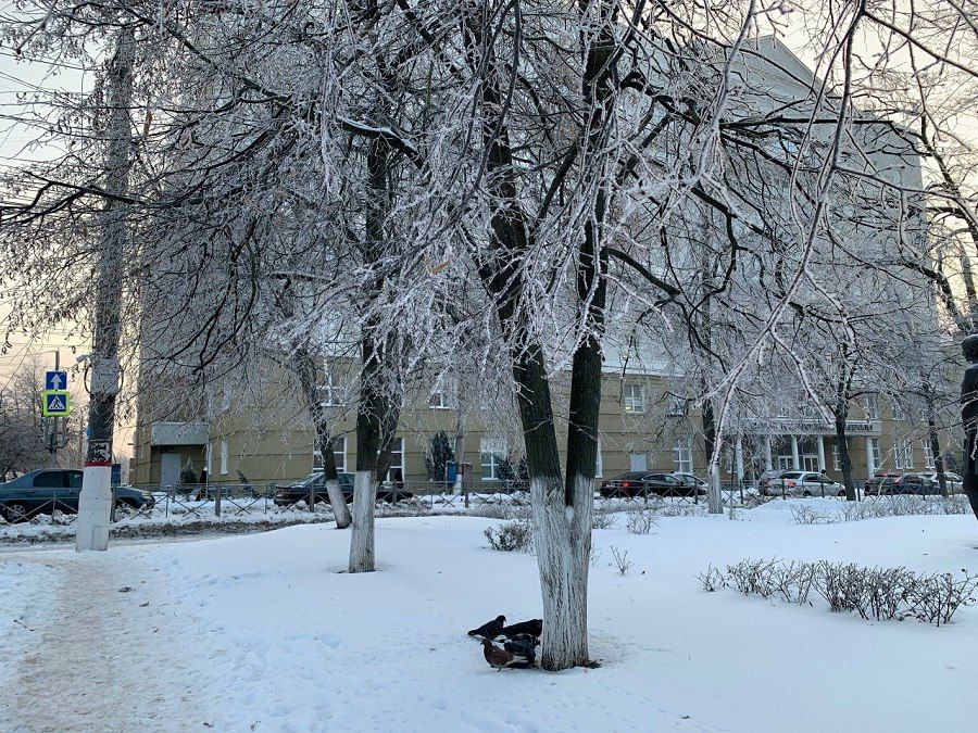 � ������� ������� ��������� �� 23 �������� ������