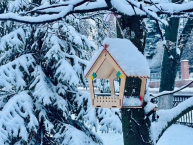 � ��������� ����� ������ ������� ������� ����� ���������� ������� �������� ������������ ��������, �������������� � �������� ��������� �����