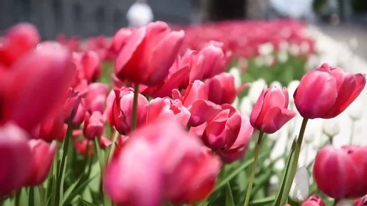 ��� ������ ������� ������ ����������� ����� � ������������ ������� ������