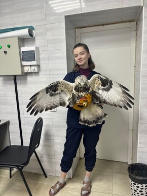 � ������ ������� ��������� ��������� �������