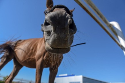 ��������� �������� ��������: ���� ������ ������ ������ � ����, � ����� ���������� �� �������