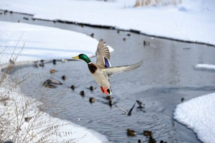 �� �������, ��� ���� �� ������ ������� ������� �������