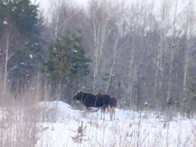 ����� ���� � ��������� ���������������� � ������� �������.�