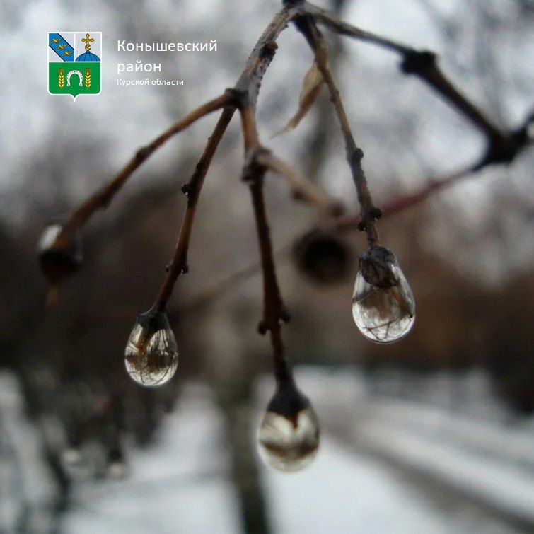 ������ ����!. � ������ ������ ��������