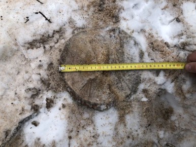 � ������� ������� �������� ��� ����� ��������� ������� ����������������