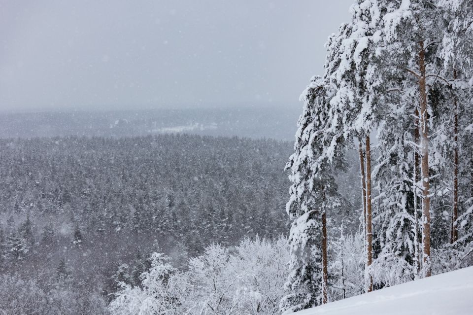 ������� ������� ������� ��������� �� ������ ������ ����� ������� ������������ ����� ���������� ��������, ������� ���������� � ��������� ������������� �������