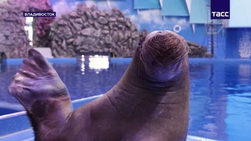 ���� ���� �� ������������ ��������� � ���� ���� ���������� ������� ���� �� ������������ � ������� �� ������� ���� � ����� ������, � �� �������� ������ �������� �������� ��������