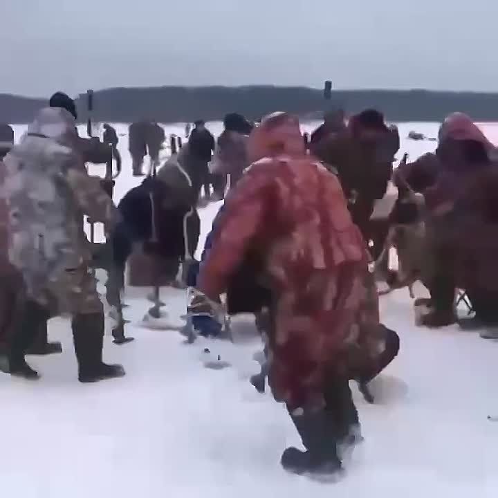 ������� �������: ����� �����, ��� ���� � ������� ������� �������� ������������ � ������� �������