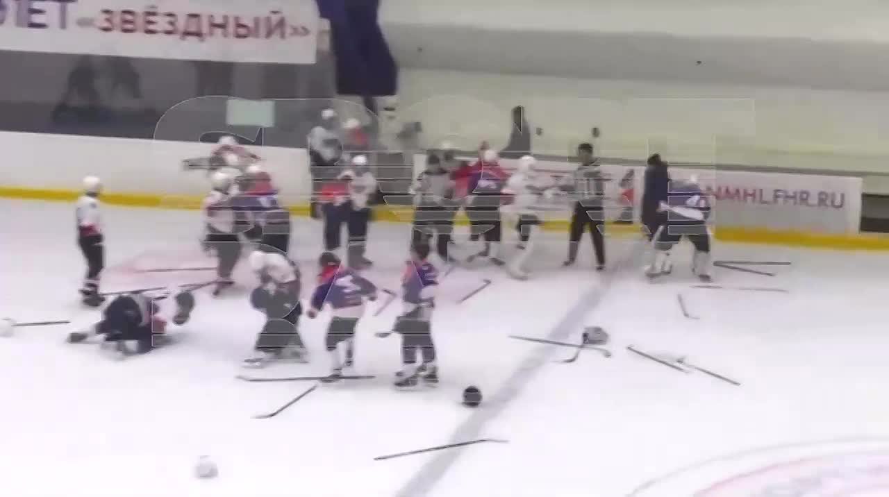 Массовую драку устроили хоккеисты Курска и Липецка