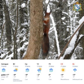 ������ ����! ����������� ������ ���������� ��� ����