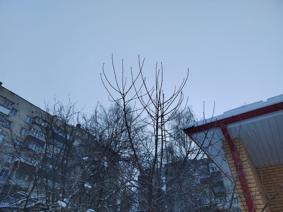 ������ ����� ������ ����� ������������ ��������� ������������� ������� �������