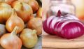 Секреты хранения лука: сохраняем свежесть до шести месяцев