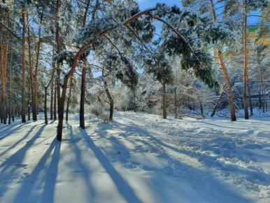 � ������� ������� 18 ������� ��������� �����, ���� � �� -15 ��������