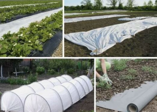 Как выбрать идеальный укрывной материал: спанбонд, лутрасил и агроволокно на службе у огородников