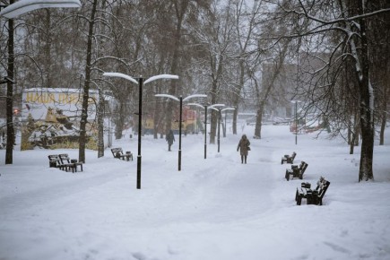 ���������� �������������� �� ���