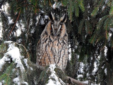 ������� ��� ���, ��� ����� �������� ��� �����: ��� ������� ������� ������� ������� ��������