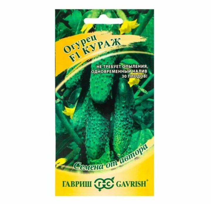 Огурец «Кураж» F1: Плодотворное приключение на огороде