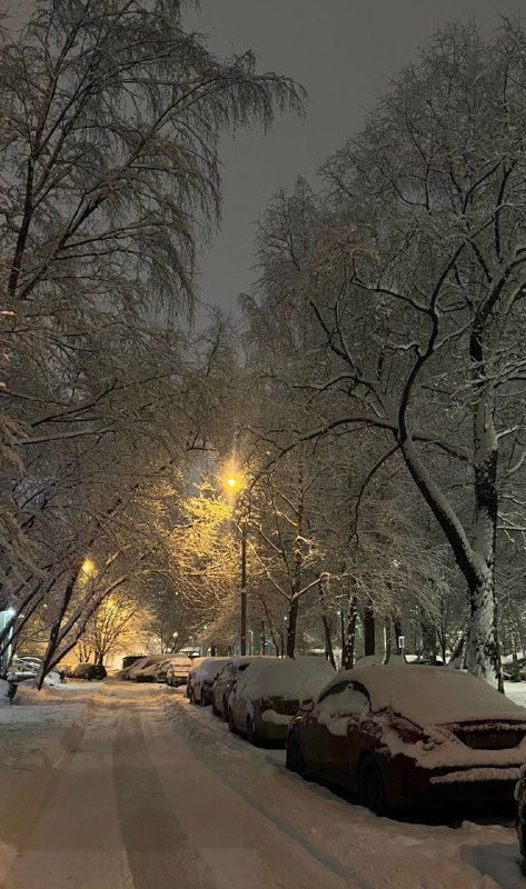 В Курской области 20 и 21 февраля проведут массовые субботники по уборке снега