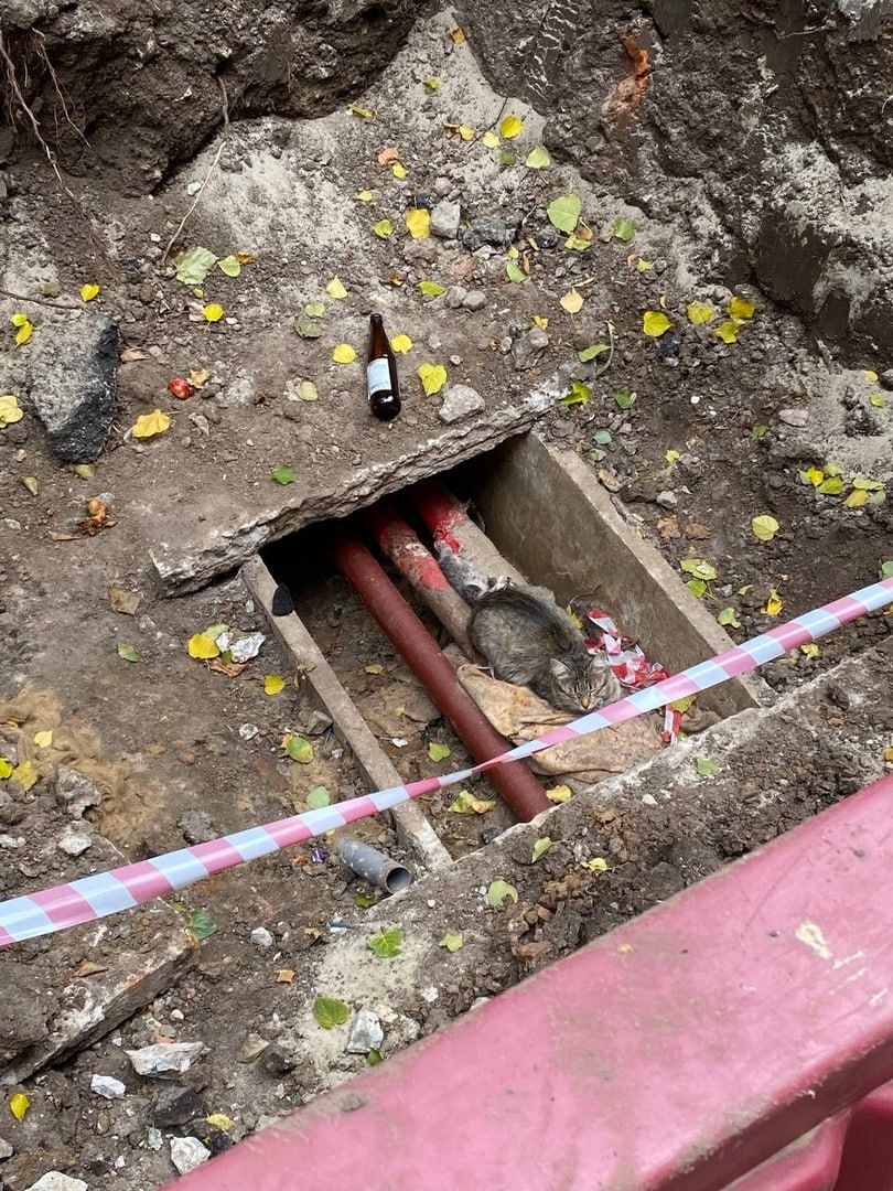 Борис Эбзеев проверил ход строительства и восстановления энергообъектов в Курской области Борис Эбзеев проверил ход строительства и восстановления энергообъектов в Курской области