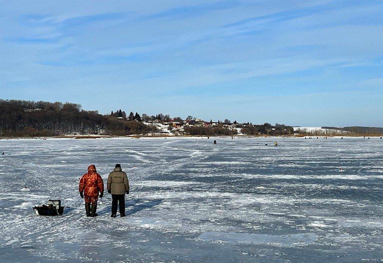 �������� ���������� ���������� ���������� ��� �� ���������