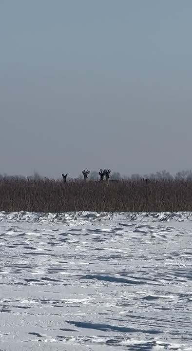 �����! �� ��� �����! ��� ����� ��������