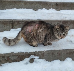 � ��� �������� ���� ��������� �������� ��� ������� ����� ���� ������